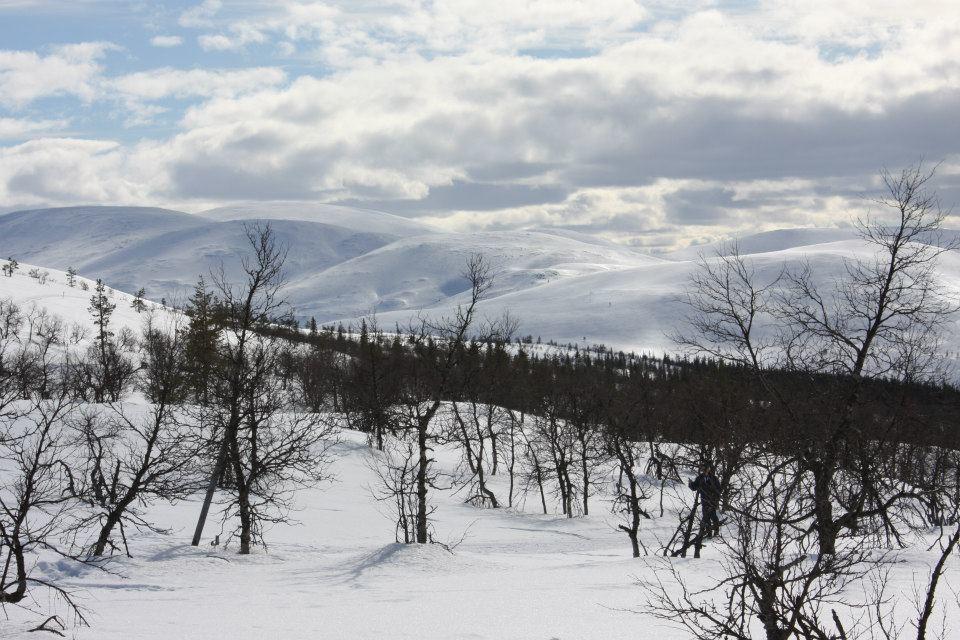 Отель Kyroen Loma Экстерьер фото